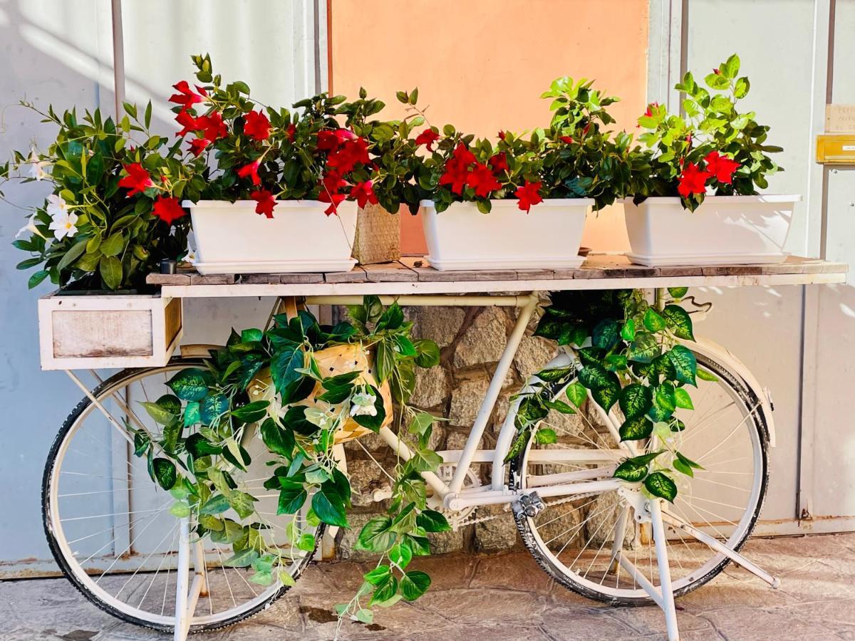 Appartamento Casa Rafanelli Monforte dʼAlba Esterno foto